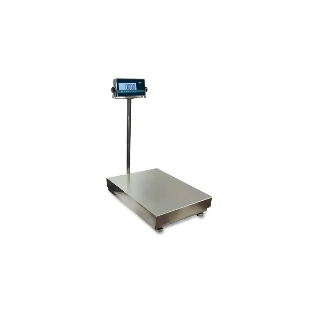 PLATFORM SCALE BW