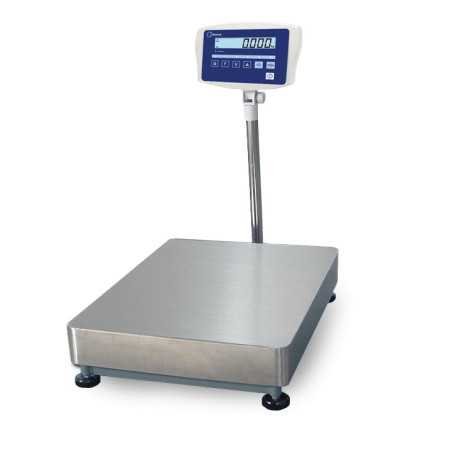 Platform scale