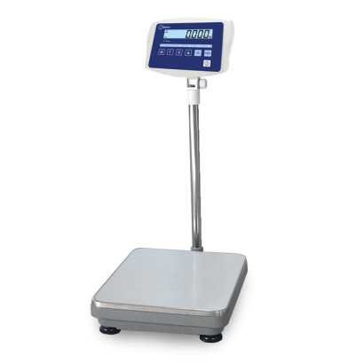 Platform scale