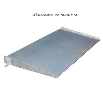 Platform scale