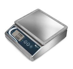 Stainless steel scale PS