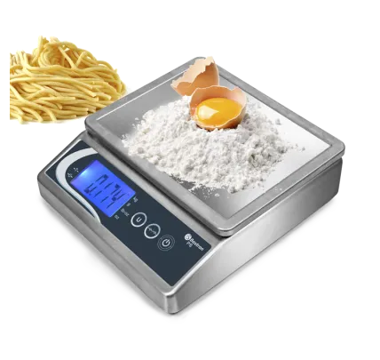 Stainless steel scale PS