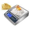 Stainless steel scale PS