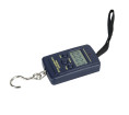 Pocket hanging scale