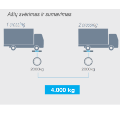 Portable weighing system