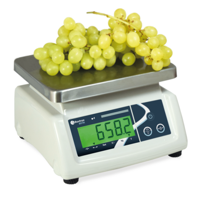 CHECKWEIGHING SCALE BS-TRI