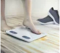 Smart scale "ACTIVE SCALE"