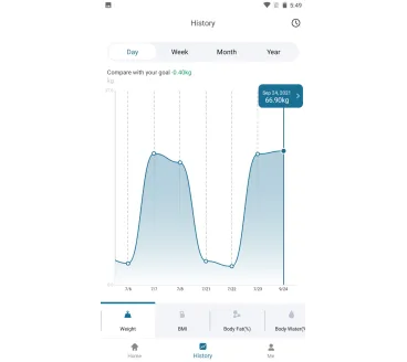 Smart scale "ACTIVE SCALE"